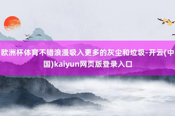 欧洲杯体育不错浪漫吸入更多的灰尘和垃圾-开云(中国)kaiyun网页版登录入口